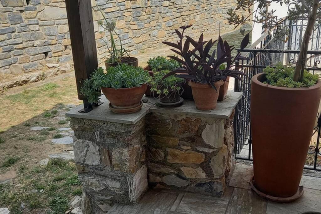 Pelion Cottage Mileai Bagian luar foto